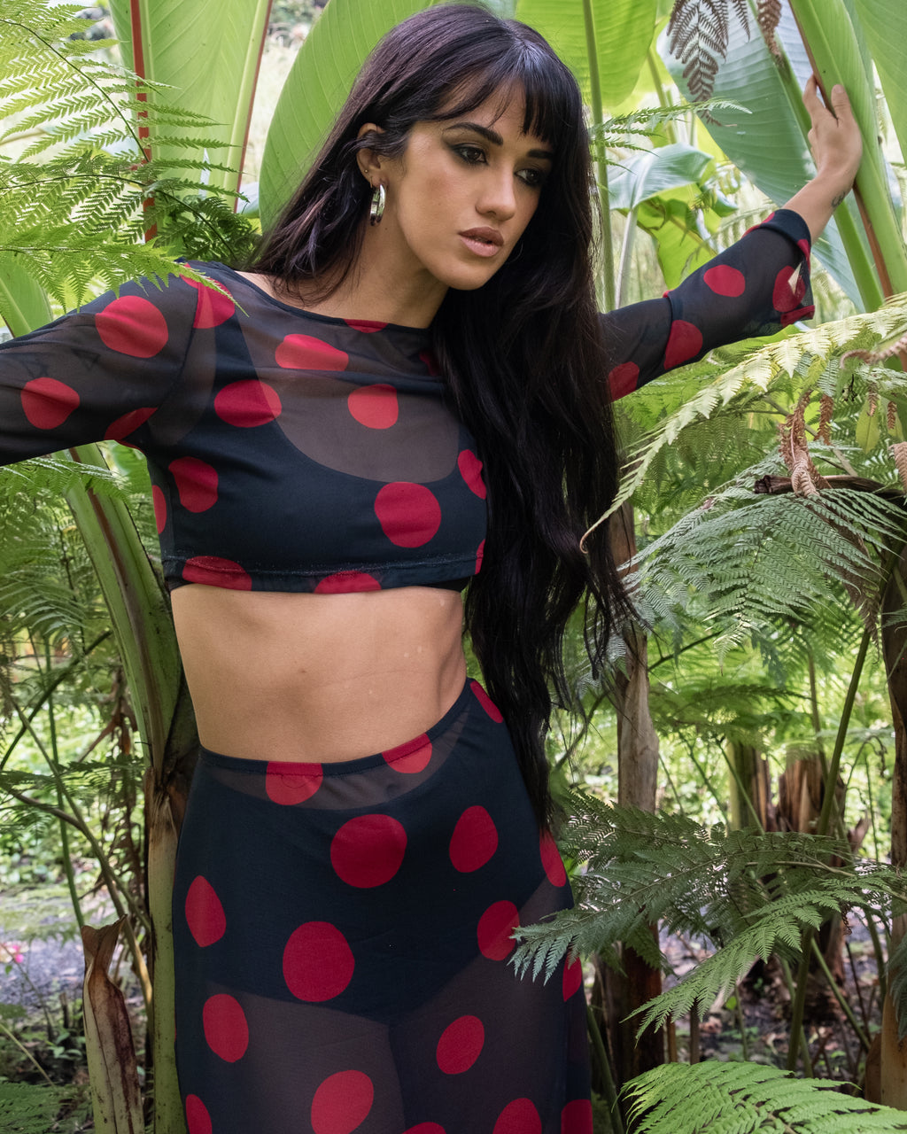 Set Koko