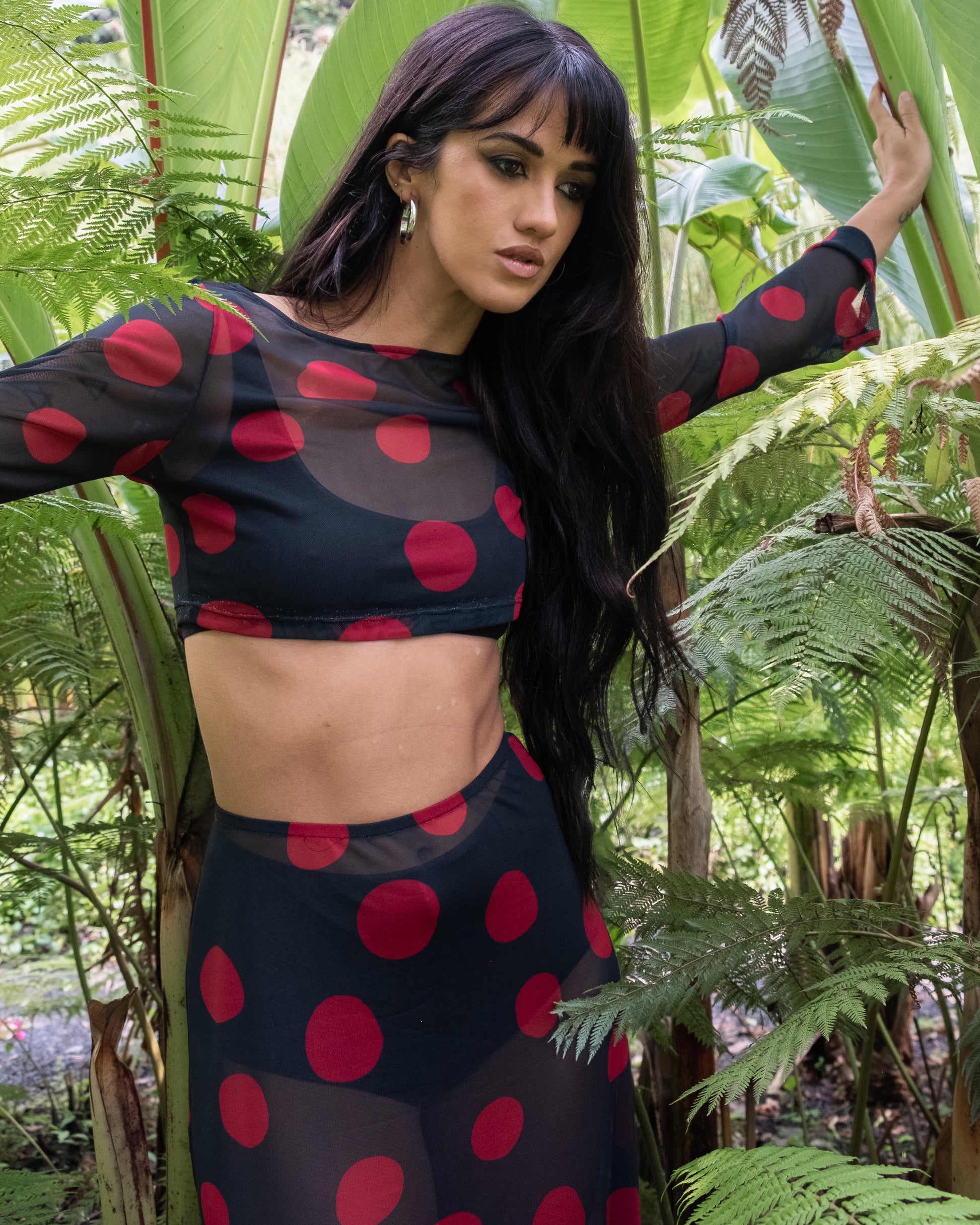 Set Koko